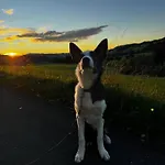 아파트 Gackernaestli Emmental *