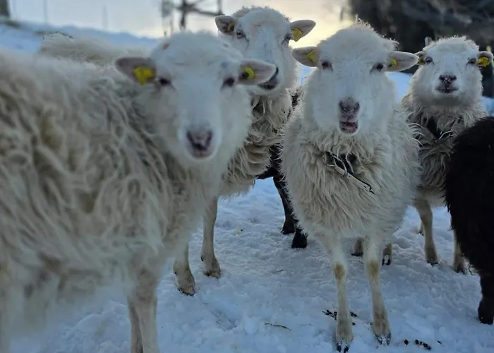 アパート Gackernaestli Emmental *