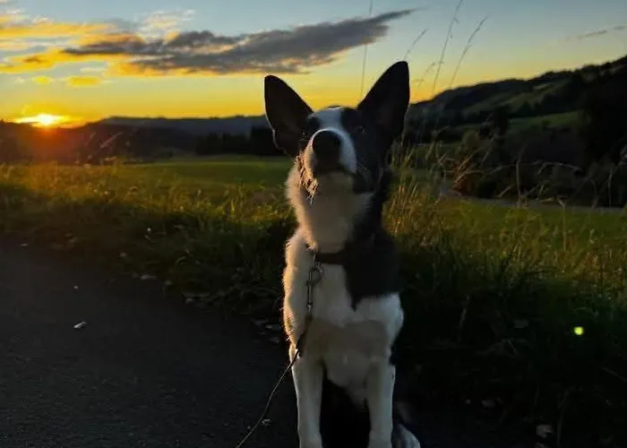 アパート Gackernaestli Emmental *